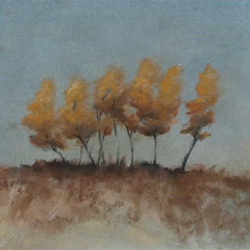 “Birch Trees” (charcoal and pastel) by UGallery artist Drew McSherry