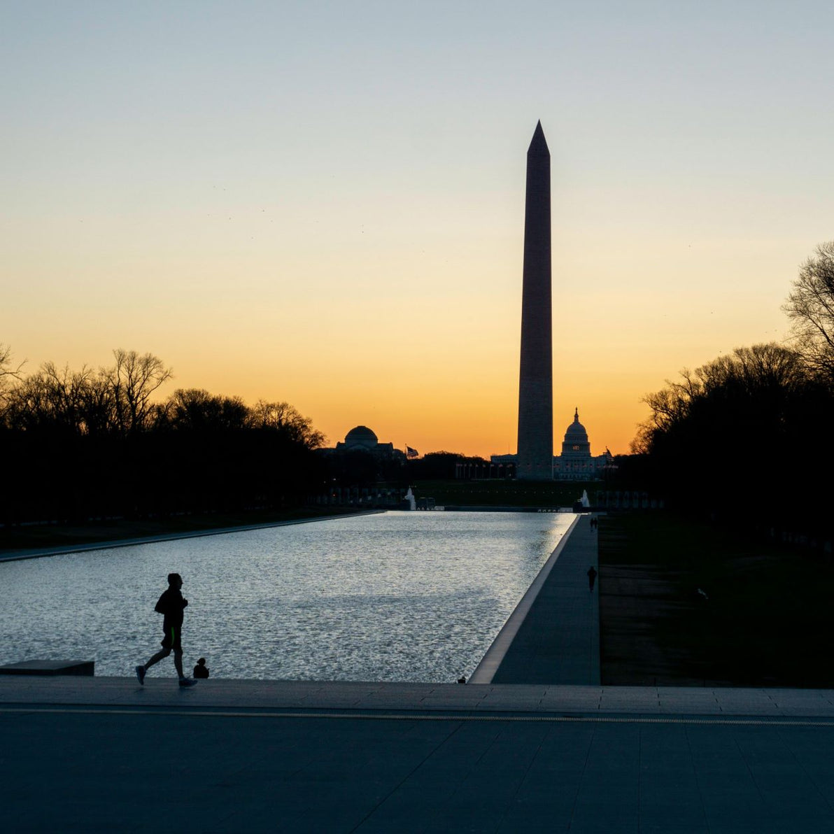 The Washington Monument, photo by Roy S.