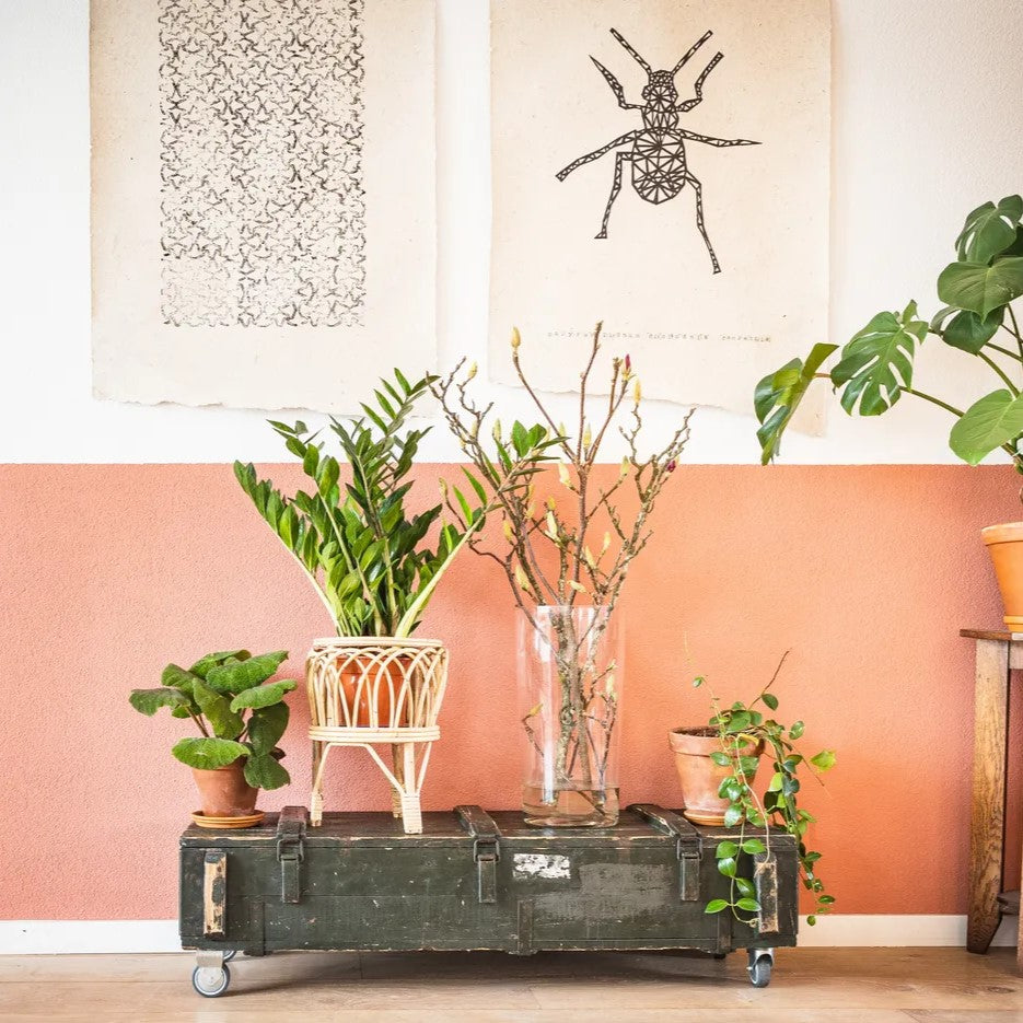 Minimalist artworks with green potted plants in the living room (Photo by Sven Brandsma)