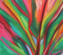 Original art for sale at UGallery.com | Tropical Treasure by Andres Lopez | $575 | oil painting | 12' h x 12' w | thumbnail 4