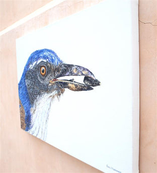 California Scrub-Jay by Emil Morhardt |  Side View of Artwork 