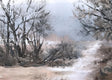 Original art for sale at UGallery.com | Winter Path by Jill Poyerd | $1,600 | oil painting | 18' h x 24' w | thumbnail 4