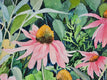 Original art for sale at UGallery.com | Joys of Summer by Catherine McCargar | $625 | watercolor painting | 11' h x 15' w | thumbnail 4