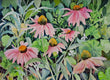 Original art for sale at UGallery.com | Joys of Summer by Catherine McCargar | $625 | watercolor painting | 11' h x 15' w | thumbnail 1