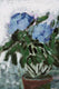 Original art for sale at UGallery.com | Mom’s Flowers on the Table by David Kihlberg | $2,050 | oil painting | 25' h x 20' w | thumbnail 4
