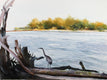 Original art for sale at UGallery.com | Morning Heron by Dwight Smith | $525 | watercolor painting | 12' h x 16' w | thumbnail 1