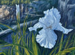 Original art for sale at UGallery.com | Western Iris by Jay Jensen | $3,050 | oil painting | 24' h x 36' w | thumbnail 4