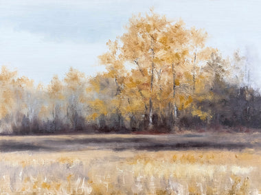 oil painting by Jill Poyerd titled Edge of the Woods