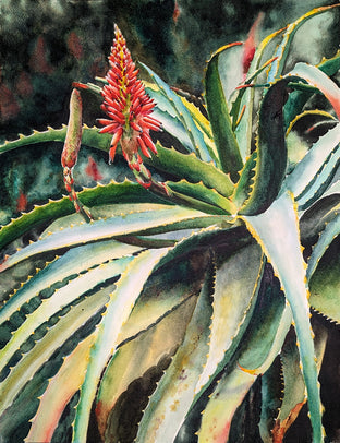 Blooming Succulents by Jinny Tomozy |  Artwork Main Image 