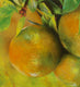 Original art for sale at UGallery.com | Nature's Bounty by Jo Galang | $575 | oil painting | 14' h x 11' w | thumbnail 4