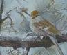 Original art for sale at UGallery.com | Chipping Sparrow in Early Winter by Joanie Ford | $275 | oil painting | 11' h x 14' w | thumbnail 4