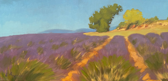 oil painting by Karen d’Angeac Mihm titled Lavender Field in Provence