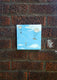 Original art for sale at UGallery.com | Parachuting Rabbits by Kat Silver | $200 | acrylic painting | 6' h x 6' w | thumbnail 3