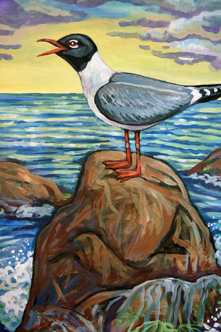 Laughing Gull by Kira Yustak |   Closeup View of Artwork 