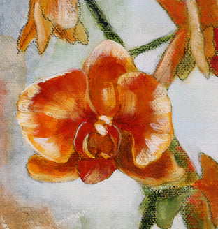 Orange Orchids by Kristina Ingvarsson |   Closeup View of Artwork 