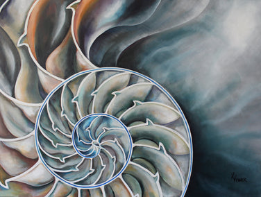 oil painting by Kristine Kainer titled Nautilus Interior