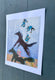 Original art for sale at UGallery.com | Cut Loose by Libby Ramage | $275 | printmaking | 10' h x 8' w | thumbnail 3