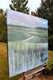 Original art for sale at UGallery.com | Emotive In Nature by Mary Pratt | $3,150 | oil painting | 48' h x 48' w | thumbnail 2