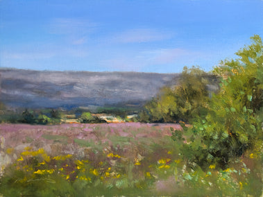 oil painting by Pascal Giroud titled Lavande en Haute-Provence