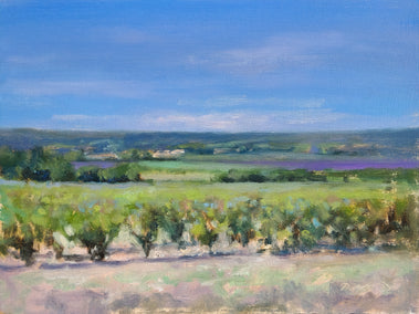 oil painting by Pascal Giroud titled Vignes dans le Luberon