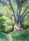 Original art for sale at UGallery.com | Summer Tree by Patty Phan | $425 | watercolor painting | 12' h x 9' w | thumbnail 1