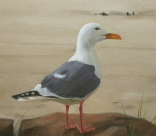 Seagull on a Rock by Steve Boggs |   Closeup View of Artwork 