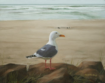 oil painting by Steve Boggs titled Seagull on a Rock