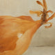 Original art for sale at UGallery.com | Yellow Onion by Steve Boggs | $375 | oil painting | 6' h x 6' w | thumbnail 4