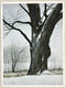 Original art for sale at UGallery.com | Edge of Winter by Vic Roschkov | $1,000 | watercolor painting | 26.75' h x 19.5' w | thumbnail 3