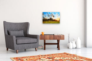 Fairwood Park Sunset by James Nyika |  In Room View of Artwork 