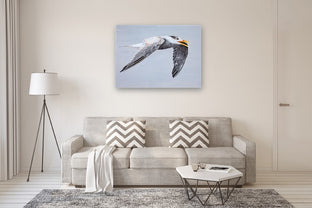 Great Crested Tern #1 by Emil Morhardt |  In Room View of Artwork 