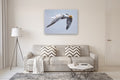 Original art for sale at UGallery.com | Great Crested Tern #1 by Emil Morhardt | $3,100 | acrylic painting | 36' h x 48' w | thumbnail 5