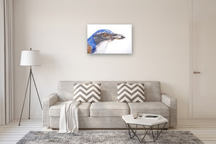 California Scrub-Jay by Emil Morhardt |  In Room View of Artwork 