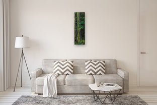 Sequoia by Mandy Main |  In Room View of Artwork 