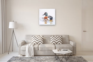 A Northern Shoveler Churning by Emil Morhardt |  In Room View of Artwork 