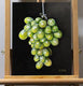 Original art for sale at UGallery.com | Green Grapes by Art Tatin | $375 | oil painting | 10' h x 8' w | thumbnail 4