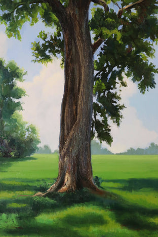 Oak at the Indian Lands by Andres Lopez |  Side View of Artwork 