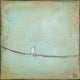 Original art for sale at UGallery.com | One Dove by Sally Adams | $75 | acrylic painting | 4' h x 4' w | thumbnail 1