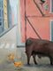 Original art for sale at UGallery.com | Visitors by Michael Wedge | $525 | oil painting | 16' h x 20' w | thumbnail 4