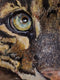 Original art for sale at UGallery.com | Clouded Leopard by Jan Fontecchio Perley | $1,350 | oil painting | 24' h x 24' w | thumbnail 4