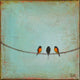 Original art for sale at UGallery.com | 3 Robins by Sally Adams | $75 | acrylic painting | 4' h x 4' w | thumbnail 1