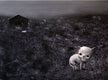 Original art for sale at UGallery.com | Chihuahua by Krzysztof Iwin | $950 | acrylic painting | 12' h x 16' w | thumbnail 1