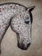 Original art for sale at UGallery.com | There Is Something about the Outside of a Horse by Jennifer Ross | $3,500 | mixed media artwork | 48' h x 60' w | thumbnail 4