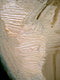 Original art for sale at UGallery.com | Victorious V. by Malia Pettit | $2,075 | oil painting | 39.5' h x 31.5' w | thumbnail 2