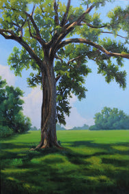 oil painting by Andres Lopez titled Oak at the Indian Lands