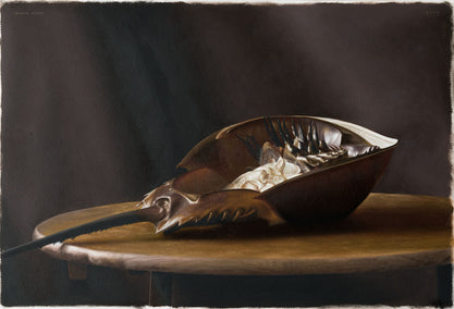 oil painting by Daniel Caro titled Horseshoe Crab