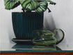 Original art for sale at UGallery.com | Calathea with a Green Pitcher by Christopher Garvey | $625 | oil painting | 9' h x 12' w | thumbnail 1