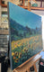 Original art for sale at UGallery.com | Fields of Sunshine by Claudia Verciani | $2,375 | oil painting | 24' h x 30' w | thumbnail 2