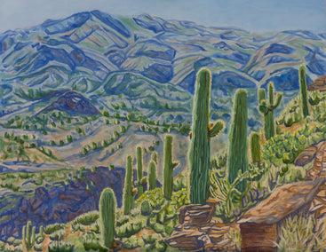 oil painting by Crystal DiPietro titled Sonoran Hillside