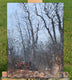 Original art for sale at UGallery.com | Faded Pride by David Thelen | $1,075 | oil painting | 24' h x 18' w | thumbnail 2